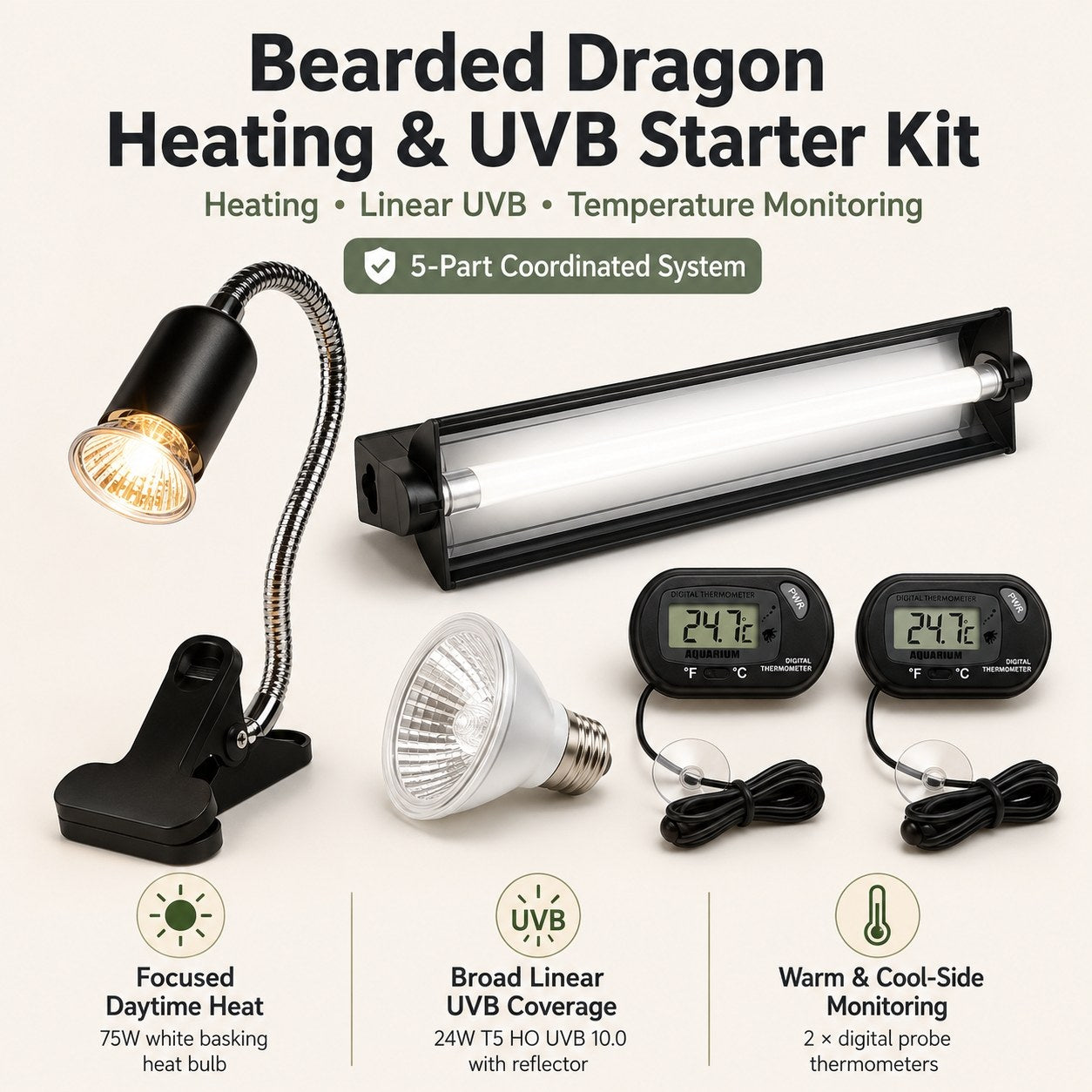 Bearded Dragon Heating and UVB Starter Kit complete five-part system