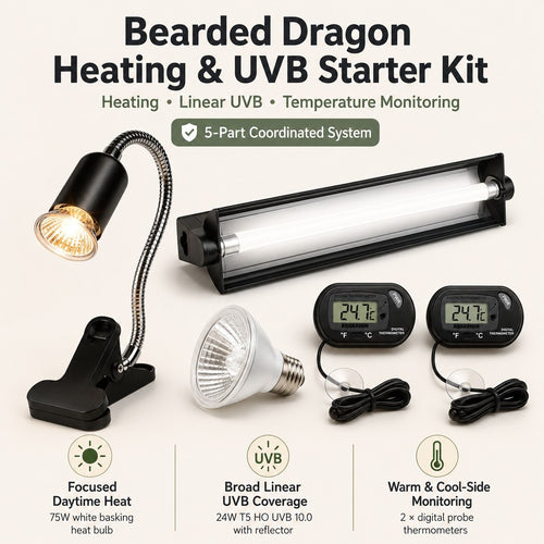 Bearded Dragon Heating and UVB Starter Kit complete five-part system