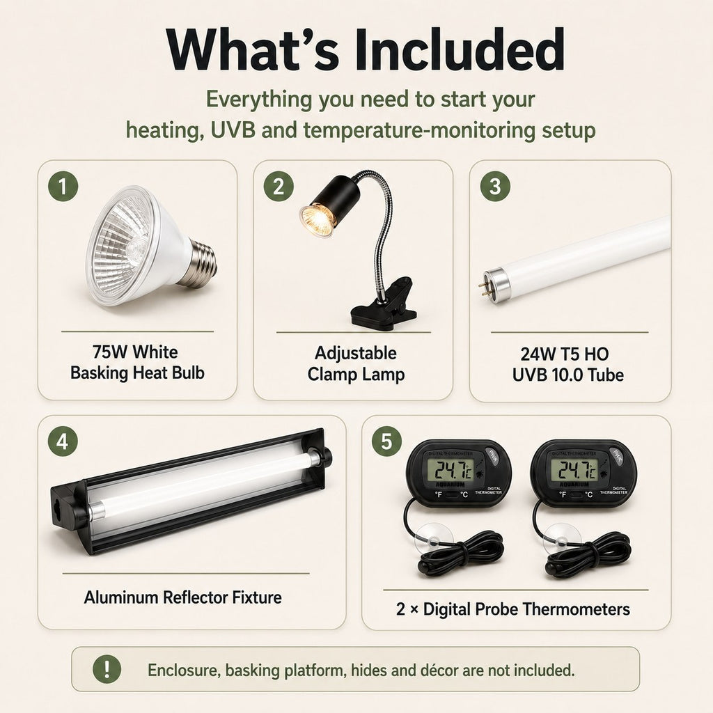 Starter kit contents with basking bulb clamp lamp T5 UVB fixture and thermometers