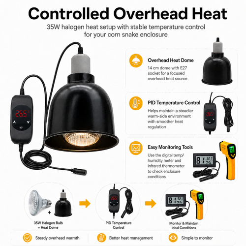 A product infographic for a 35W halogen heat setup for a corn snake enclosure, showing a black adjustable lamp, digital controller, dome, thermometer, and text callouts explaining features like PID temperature control and easy monitoring tools.